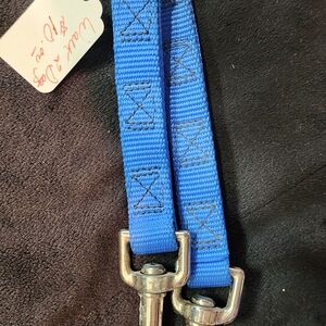 Blue Dog Leash with Silver Clips